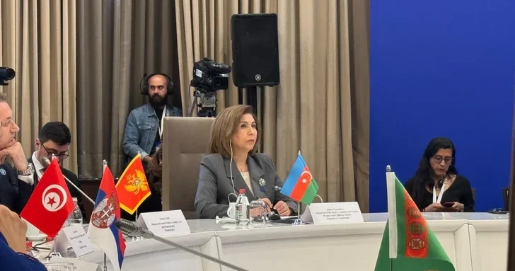 Мурадова: Защита детей от вредоносной информации является одним из основных приоритетов Азербайджана