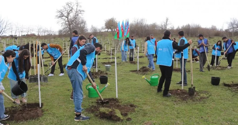 “Yaşıl marafon” Gədəbəydə