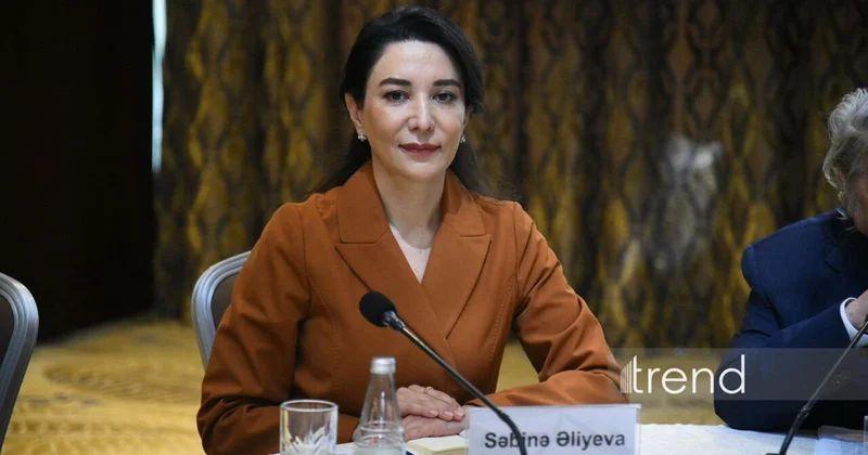 В защите интеллектуальной собственности важны объективность и соблюдение международного права Сабина Алиева