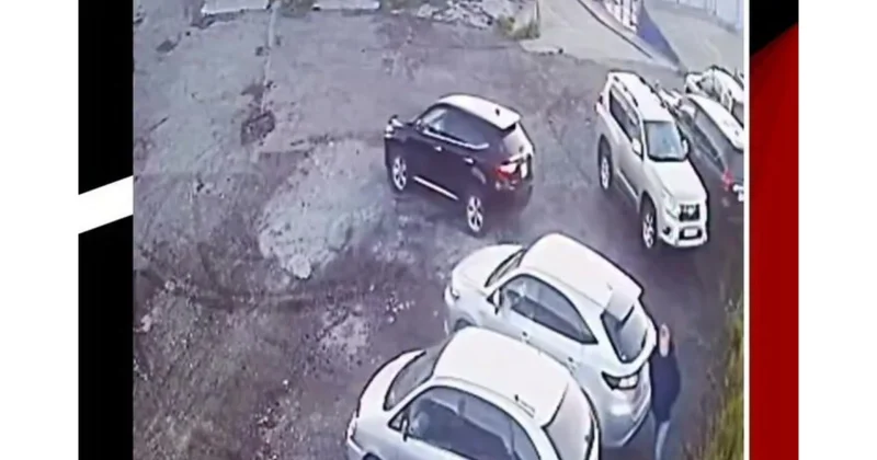 Ayı parkovka ya hücum etdi Son anda ölümdən QURTULDU VİDEO