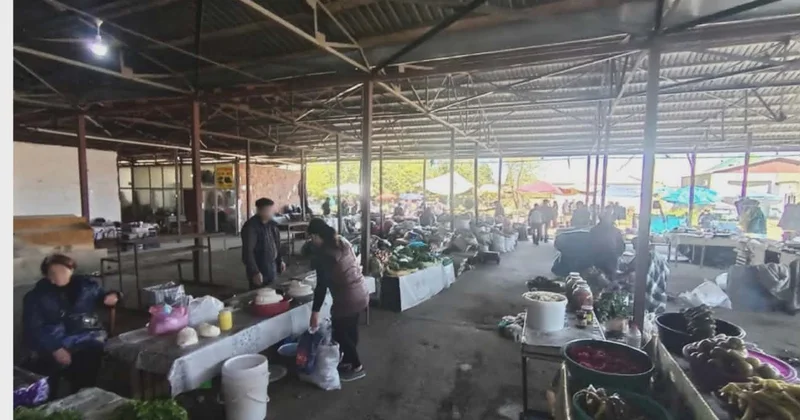 AQTA Gəncə bazarında nə gördü?
