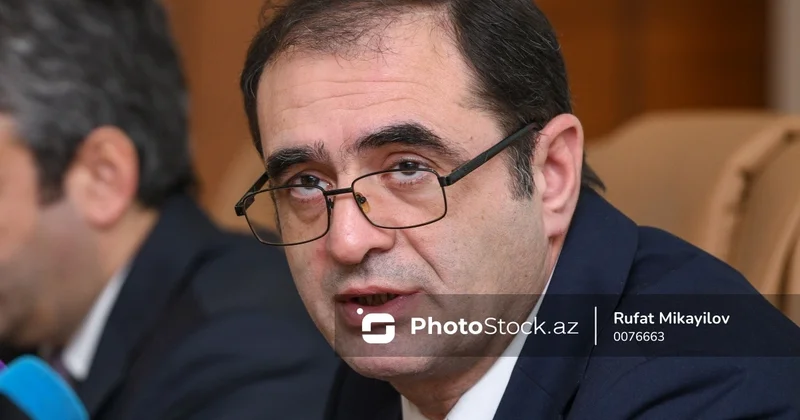 Araz Məmmədzadə: Azərbaycan qonşu ölkələrdən yaşıl enerji ilə bağlı daha çox təklif alacaq