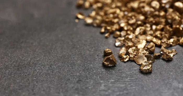 Fransada fermer 3,5 milyard avroluq qızıl tapıb VİDEO