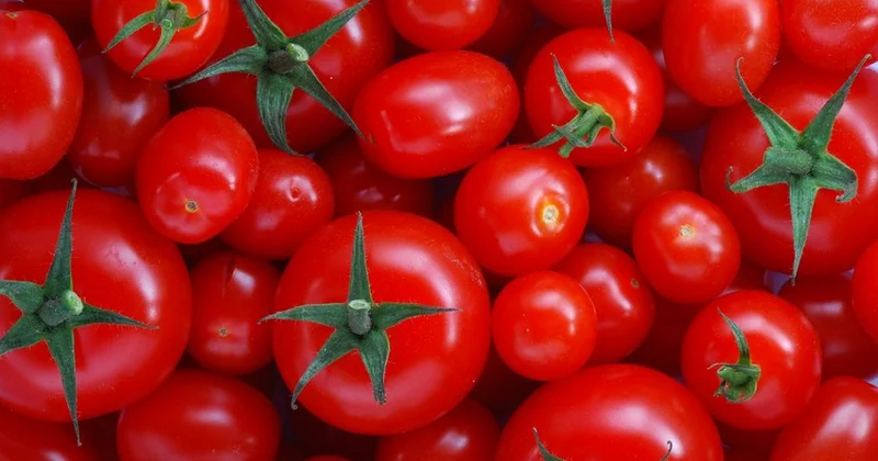 Gömrük Komitəsindən pomidor hesabatı