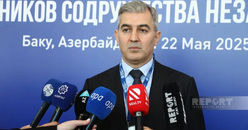 Глава ГМС: Азербайджан разработал собственную модель миграционного управления