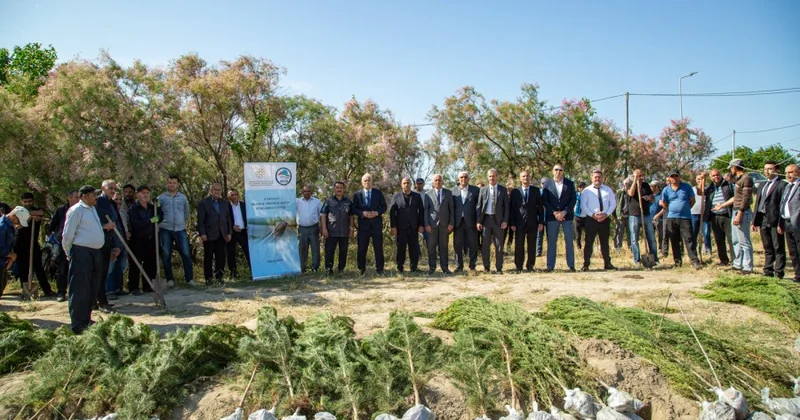 Salyanda Kür çayı sahilində ağacəkmə kompaniyası keçirilib FOTOLAR
