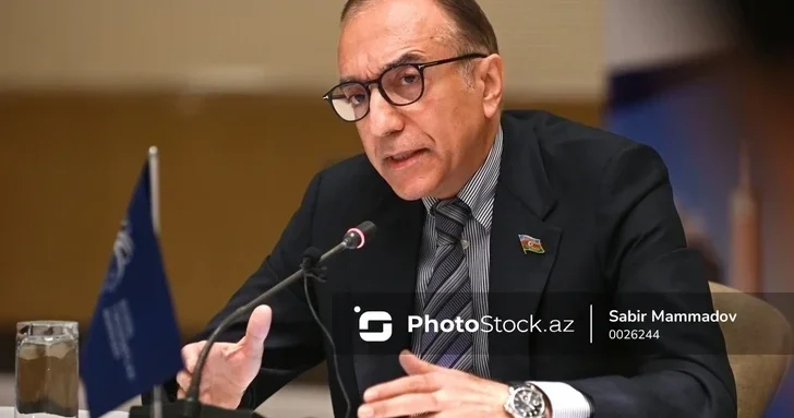 Низами Сафаров: Парламенты СНГ играют ключевую роль в регулировании миграции