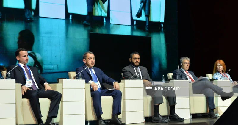 GlobE Şəbəkəsinin Bakıda keçirilən Altıncı Plenar iclası başa çatıb