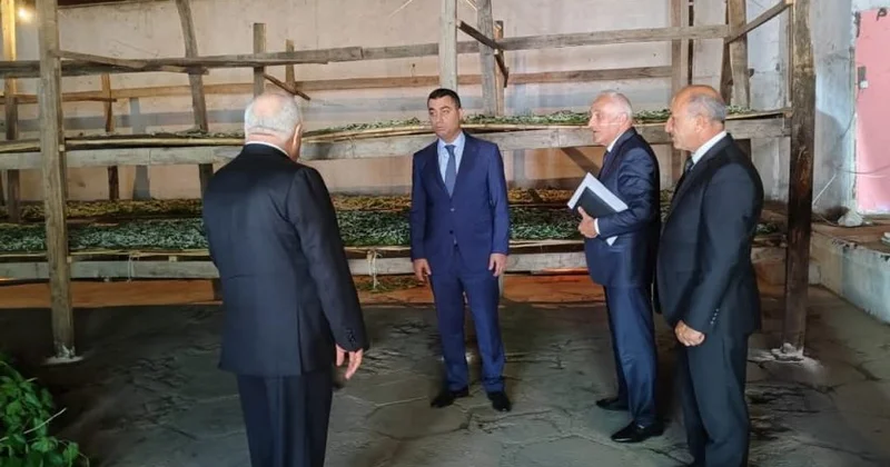 Yevlaxda fərdi təsərrüfata baxış keçirilib