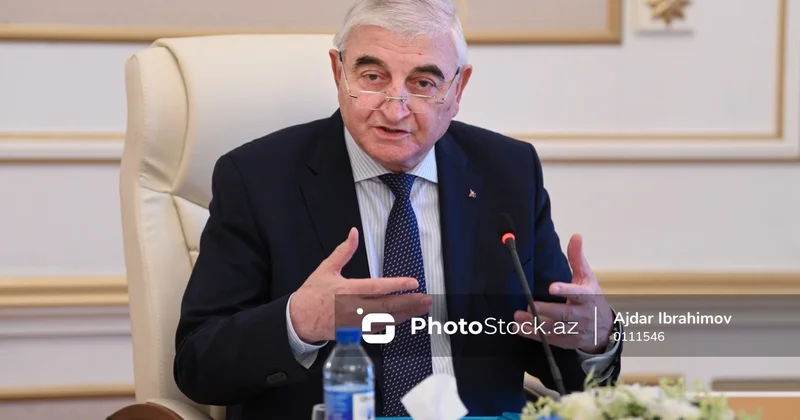 Məzahir Pənahov: Azərbaycan TDT ilə bağlı quruma sədrlik edəcək