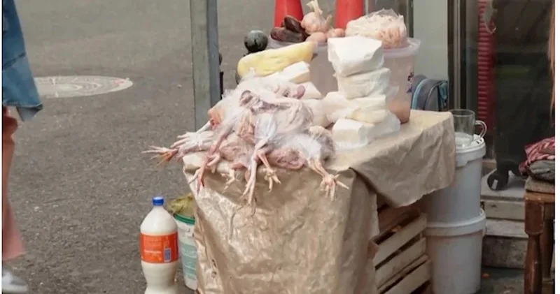 Küçə kənarlarından boylanan təhlükə Hansı qurum nəzarət edir?