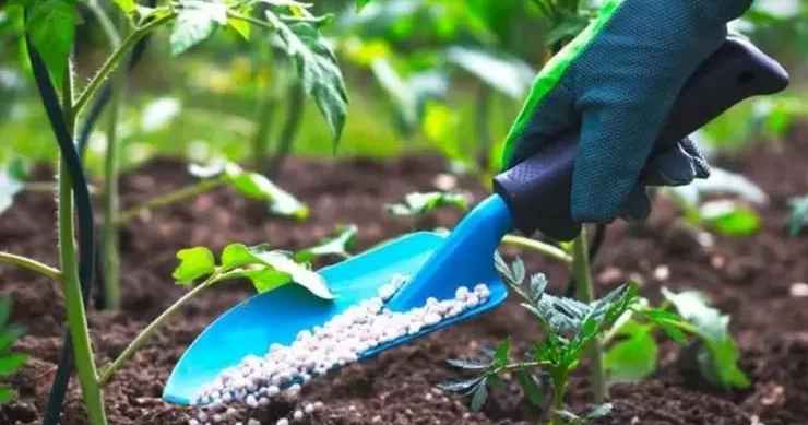 Bazarlar Avropanın rüsumlarını kompensasiya edəcək
