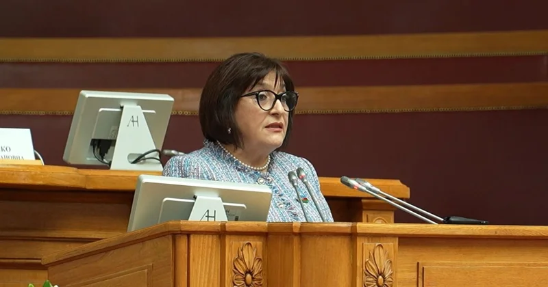 Milli Məclisin sədri MDB PA nın 60 cı plenar iclasında çıxış edib