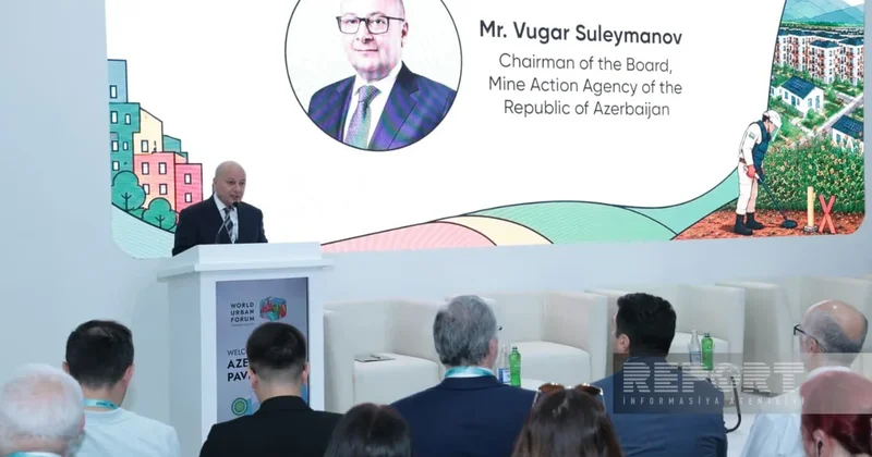 Вугар Сулейманов: От мин очищено более 270 тыс. га освобожденных территорий