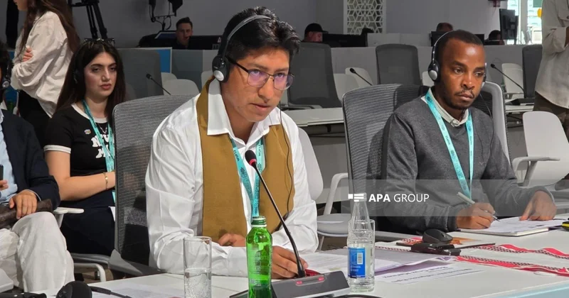 Boliviya nümayəndəsi: İnkişaf aborigen xalqların köçürülməsi hesabına olmamalıdır