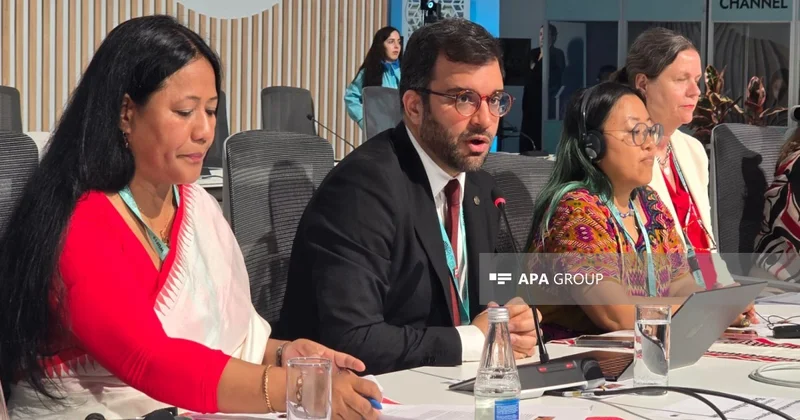 UN Habitat rəsmisi: Torpağın zorla alınması aborigen xalqların əsas problemlərindən biridir