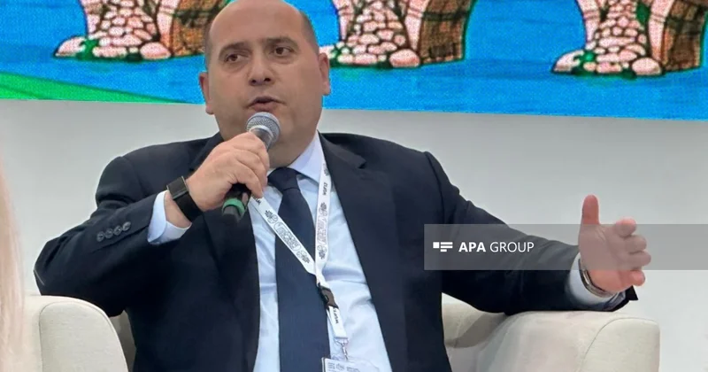 Ağdam, Xocavənd və Füzulinin neçə faizinin minalardan təmizləndiyi məlum olub