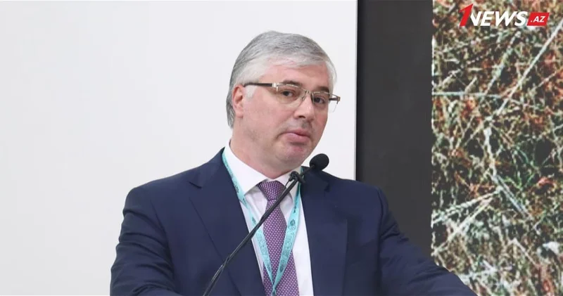 Представитель ANAMA: Около 11 600 кв. км освобожденных территорий загрязнены взрывоопасными предметами