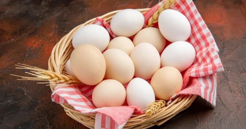 Yumurta ucuzlaşacaq Bu TARİXDƏN