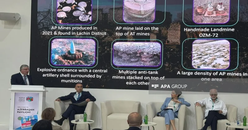 ANAMA sədri: Vətən müharibəsindən sonra 270 min hektardan çox ərazi minadan təmizlənib