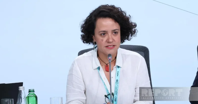 Лана Баррето: Разрушение кадастровых архивов в Газе осложняет восстановление жилищных прав
