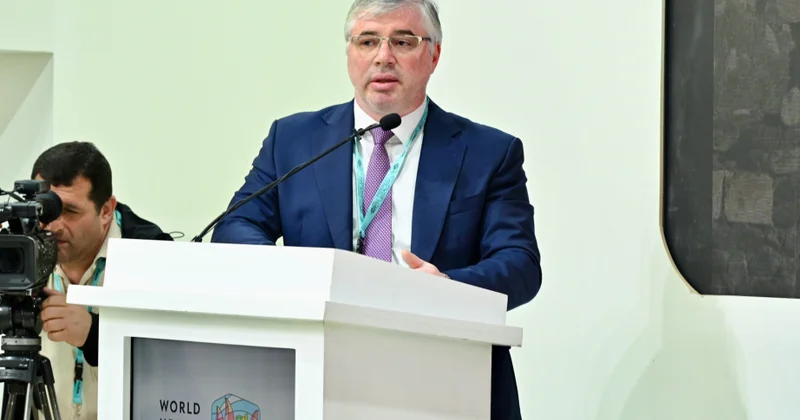 В Азербайджане 302 пострадавших от мин дети и молодые люди, а 38 женщины
