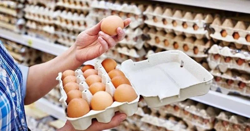 İyunda yumurtanın qiyməti ucuzlaşacaq