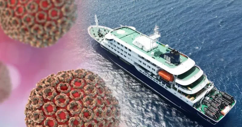 Прибывшие в Роттердам члены экипажа MV Hondius не заражены хантавирусом