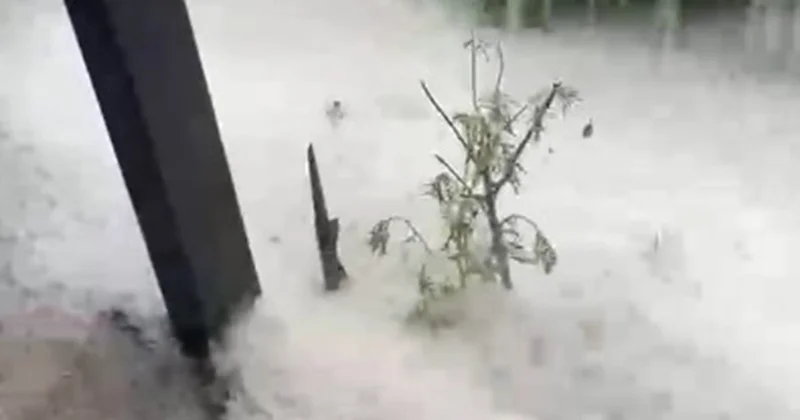Şamaxıya dolu düşdü Video
