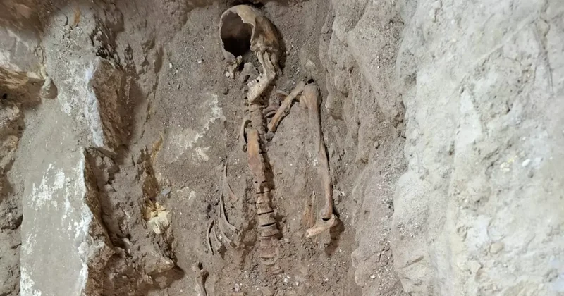 Голландского археолога задержали за сокрытие д’Артаньяна