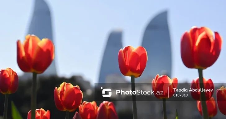 Прогноз погоды в Азербайджане на 23 мая
