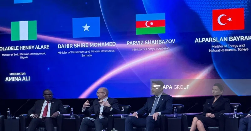 Pərviz Şahbazov: Enerji təhlükəsizliyi artıq milli təhlükəsizlik məsələsinə çevrilib