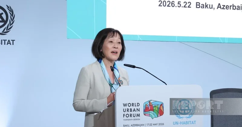 Ишигаки Кадзуко на WUF13: ООН необходимо оказывать поддержку местным властям
