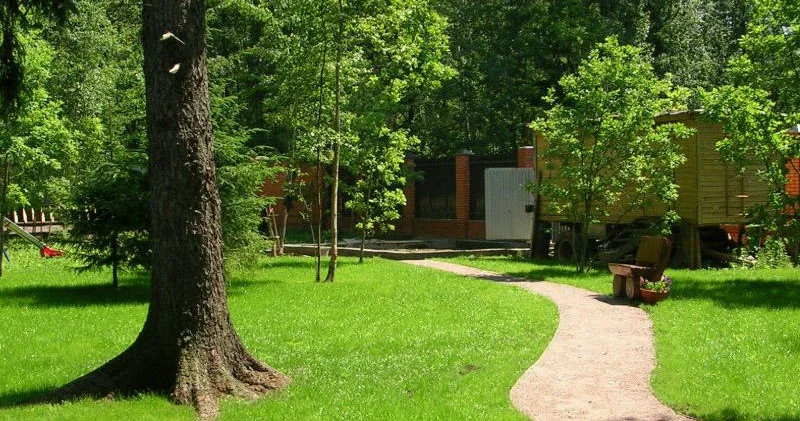 “Premium Park Neftçilər” layihəsini inşa edən şirkət ağacları kəsdi