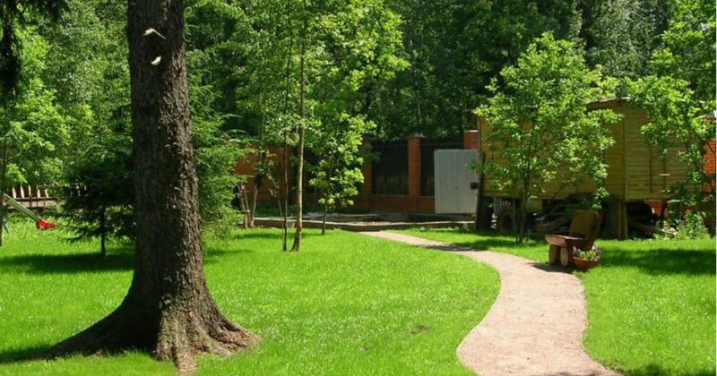 “Premium Park Neftçilər” layihəsini inşa edən şirkət ağacları kəsdi