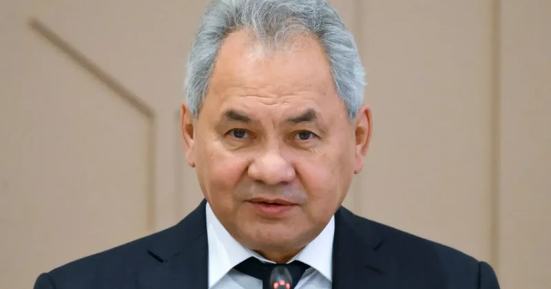 Шойгу прибыл в Индию для участия во встрече высоких представителей стран БРИКС