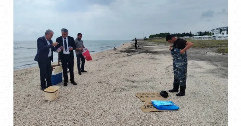 На ряде пляжей Баку, Лянкярана и Хачмаза временно запрещено купание