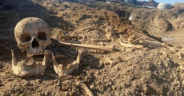 Ağdamda qazıntı zamanı skelet qalıqları aşkarlandı
