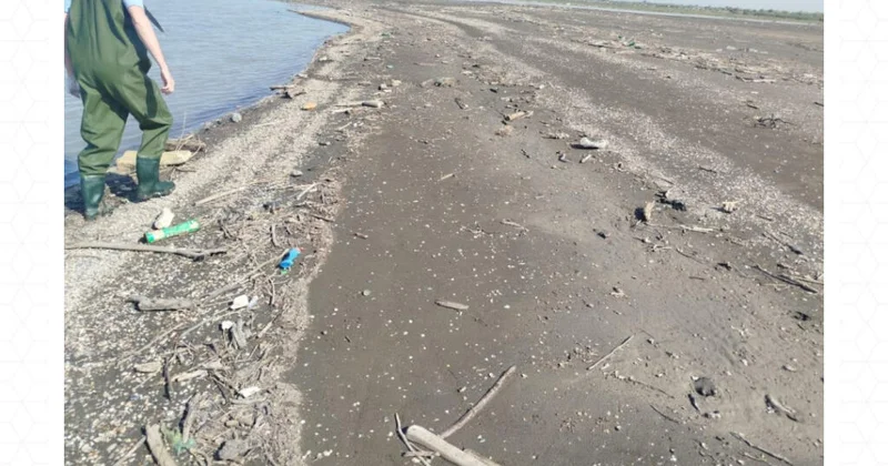 Səhiyyə Nazirliyi yoxladı: Bakıda bir sıra çimərliklərə giriş qadağan olundu (Foto)