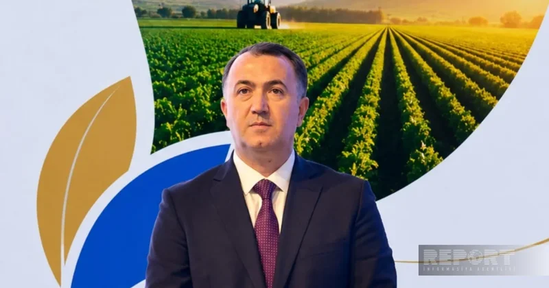 Глава ИВ Шарурского района озвучил аграрные показатели за 2025 год