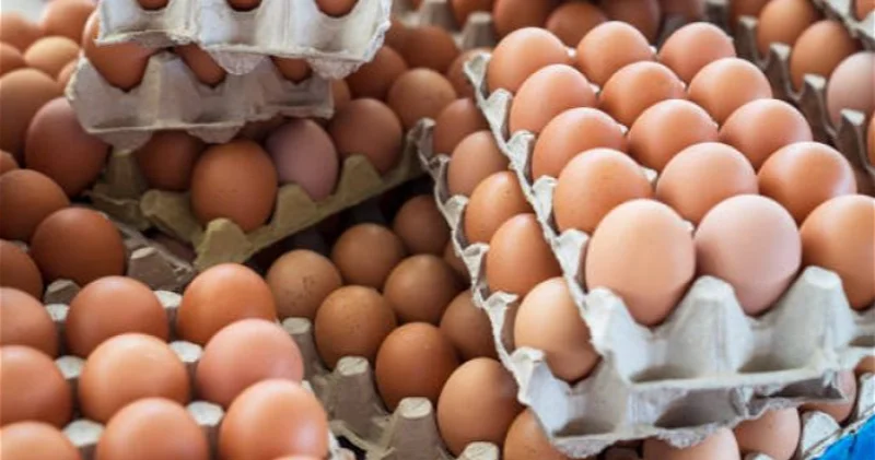 Правда ли, что в Азербайджане продают искусственные яйца?