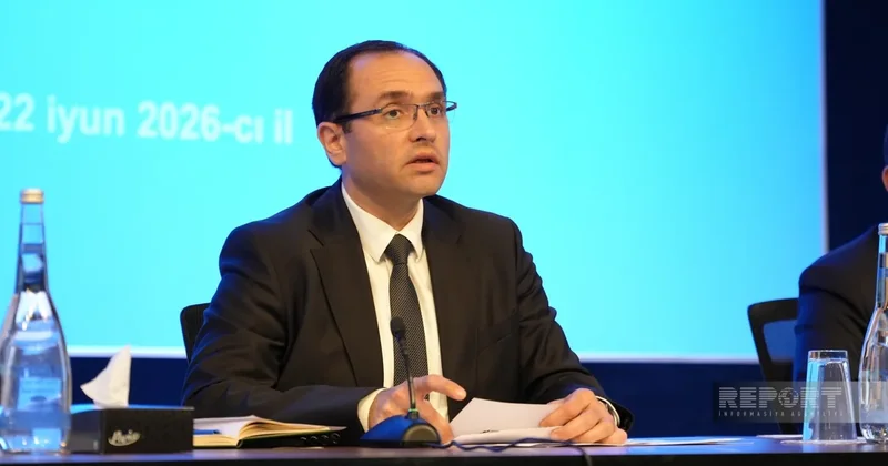 Вклад сельского хозяйства в ВВП Нахчывана составил 217 млн манатов в 2025г