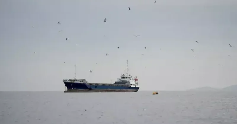 UKMTO: В Ормузском проливе возобновляется движение судов