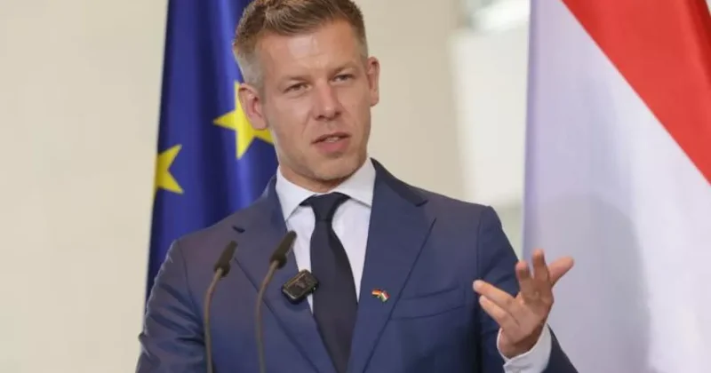 Чистилище Мадьяра: новое правительство Венгрии взялось за наследие Орбана