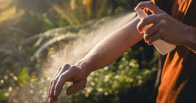 Həşərat sancmasından və dişləməsindən necə qoruna bilərik? DERMATOLOQ DANIŞDI