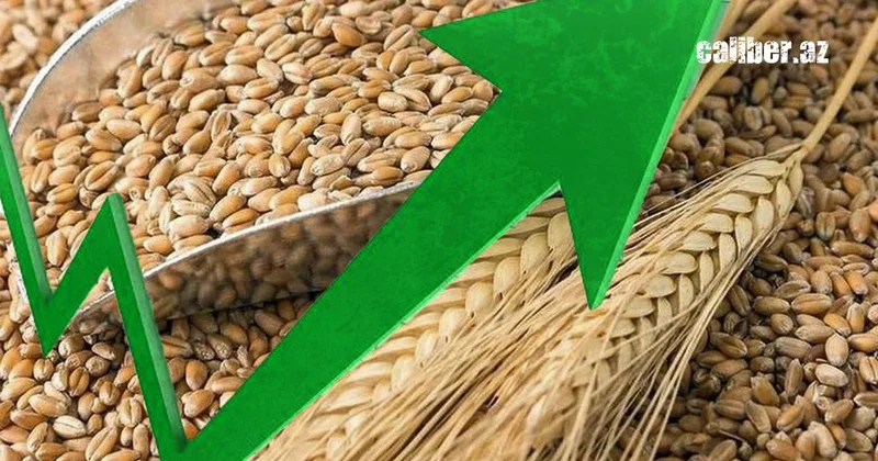Азербайджан импортировал пшеницы на 130 миллионов долларов