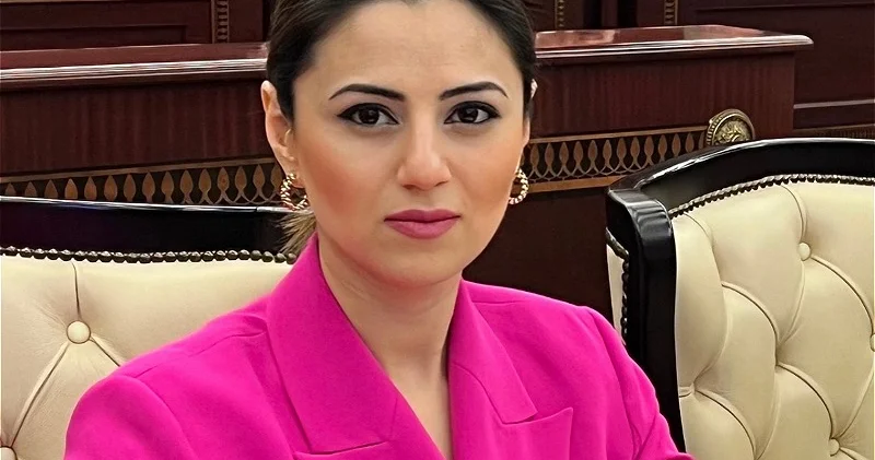 Zəngəzur dəhlizi açılmalı, Naxçıvana gediş gəliş maneəsiz olmalıdır Açıqlama