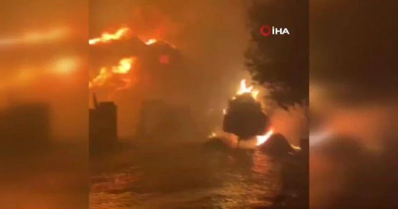 В Турции продолжаются масштабные лесные пожары ВИДЕО
