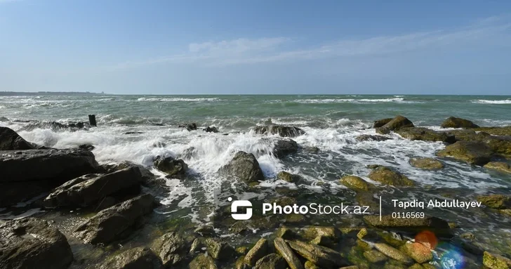 Каспийское море теряет глубину: как это меняет жизнь подводного мира