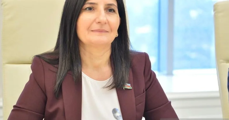 Qarşıdakı illərdə Azərbaycan Almaniya əməkdaşlığının geostrateji ölçüləri daha da genişlənəcək Sevil Mikayılova